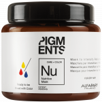 Pigments nutritive mask маска питающая для сухихи волос, фото 