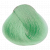 Pastel green, Цвет: Pastel Green, фото  - от магазина Hair-Alfa.Shop Pastel green, Цвет: Pastel Green, фото