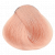 Pastel orange, Цвет: Pastel Orange, фото  - от магазина Hair-Alfa.Shop Pastel orange, Цвет: Pastel Orange, фото