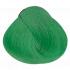 Pure Green краситель прямого действия rEvolution Color, 90 мл, Цвет: Pure Green, фото  - от магазина Hair-Alfa.Shop Pure Green краситель прямого действия rEvolution Color, 90 мл, Цвет: Pure Green, фото